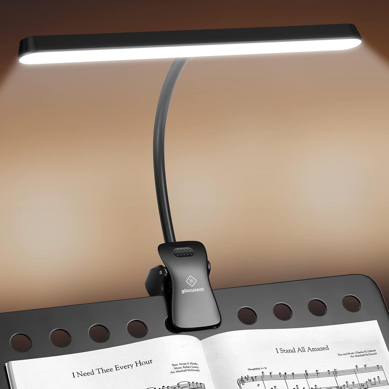 Music Stand Lights and Folders